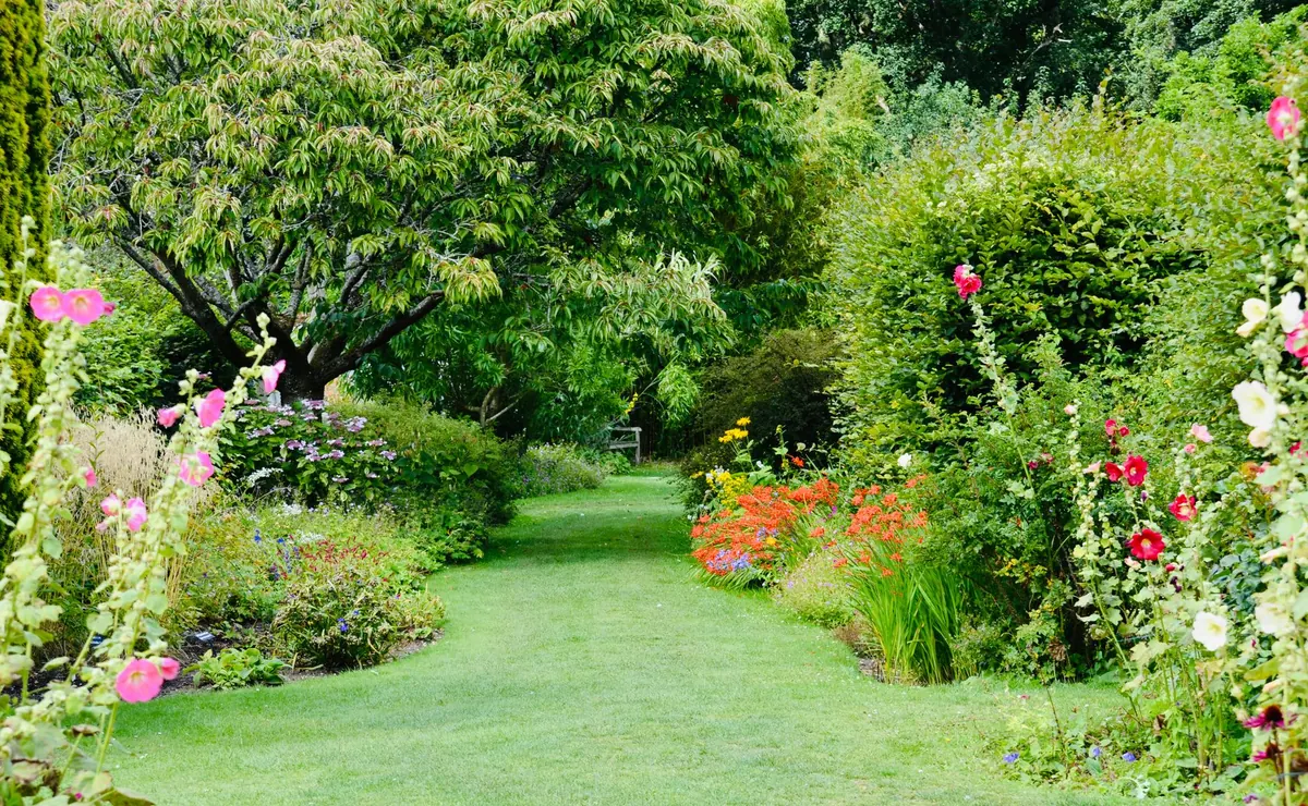 Designing a South-Facing Border: Plants That Thrive in Full Sun
