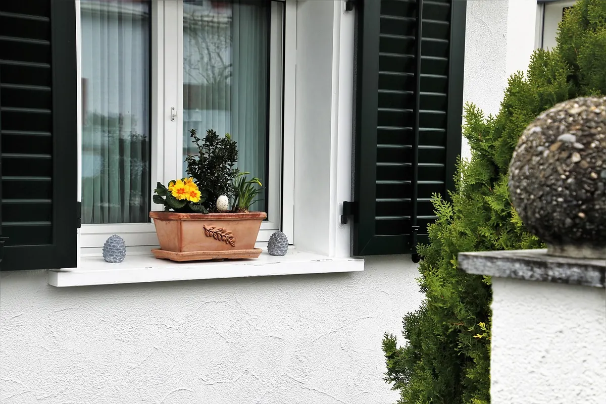 Growing Herbs on a Kitchen Windowsill: A Beginner's Guide