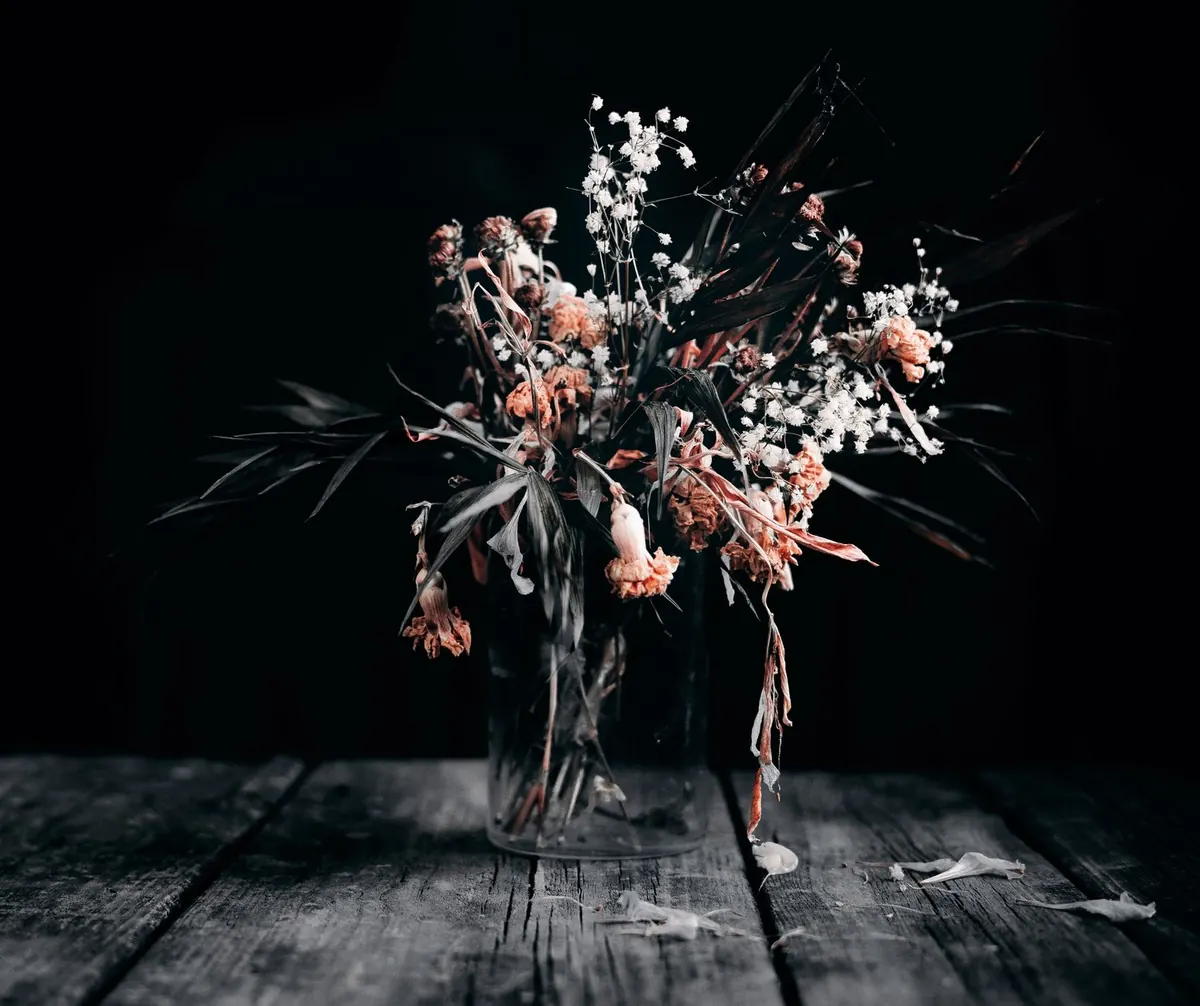 How to Revive a Sickly Houseplant: A 7-Step Diagnosis and Fix