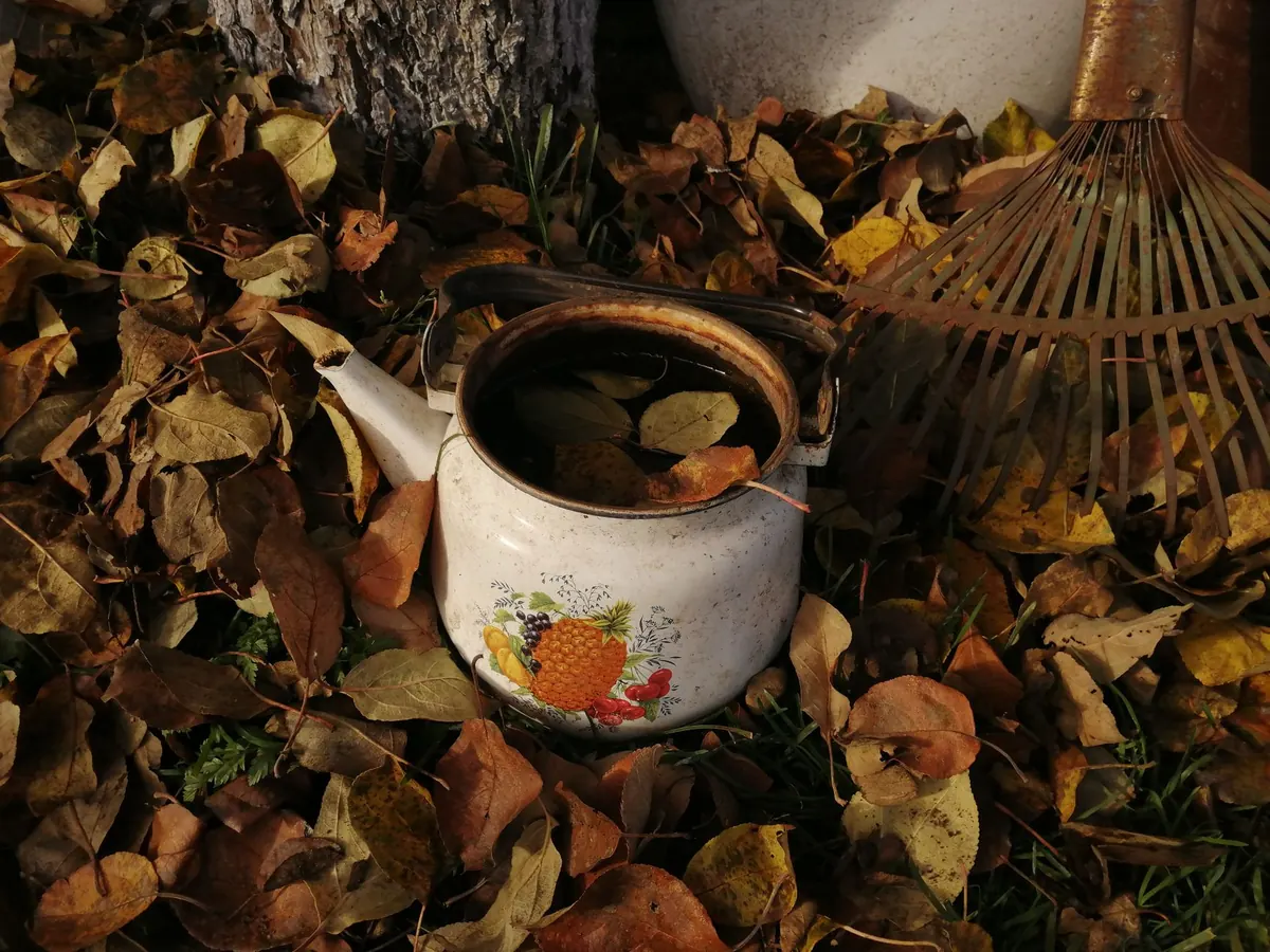 The Autumn Garden Checklist: 12 Jobs to Do Before the First Frost